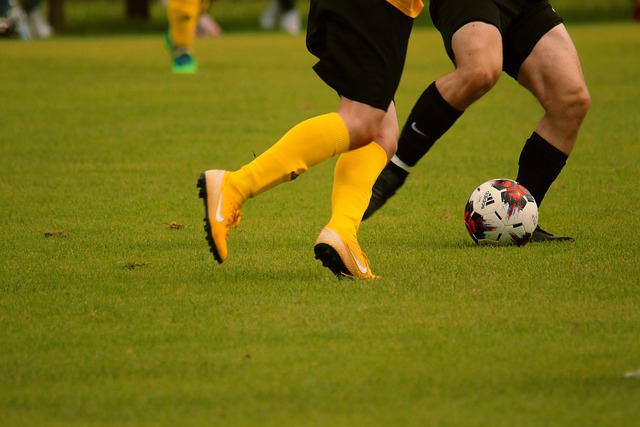 分嗅覺讓許 分嗅覺讓許