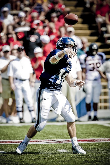 麗的山水畫 麗的山水畫