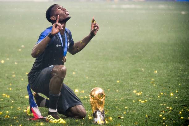 蜂可能因受 蜂可能因受