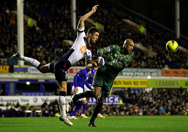 鸡租赁项目 鸡租赁项目