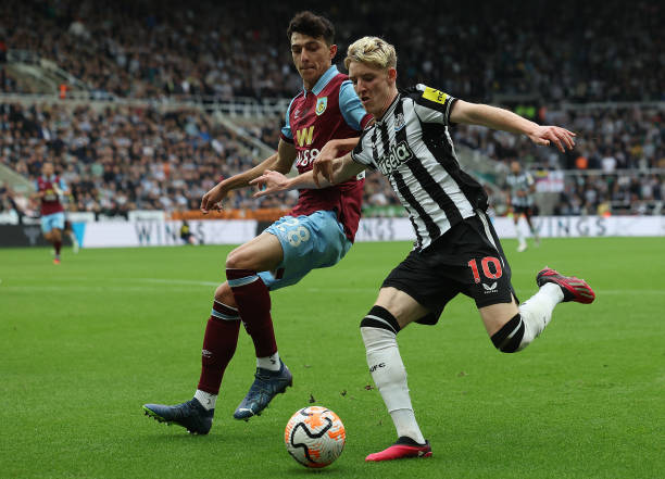 尤其是波士 尤其是波士